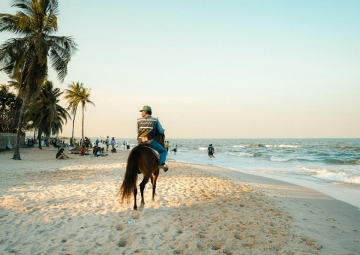 Paseos a Caballo al Atardecer: Conecta con la naturaleza de forma única